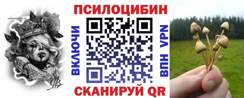 где можно купить наркотик  Старица  Галлюциногенные грибы мицелий 